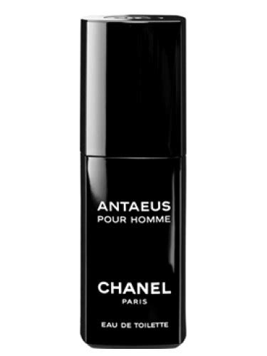 antaeus fragrance